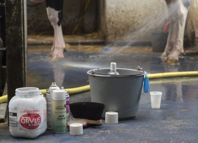The importance of washing