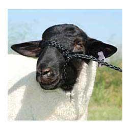 Poly Rope Halter Sheep - Black