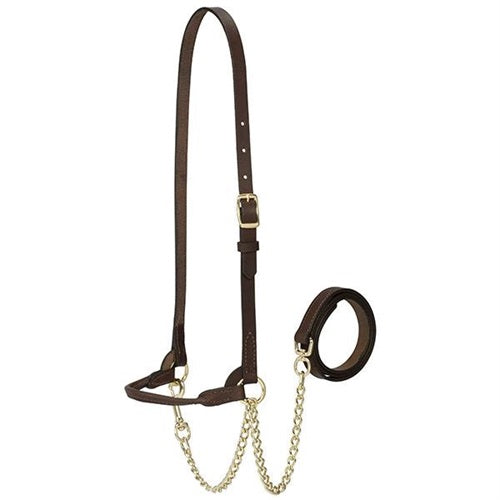 Refined Show Halter Single Buckle - Red