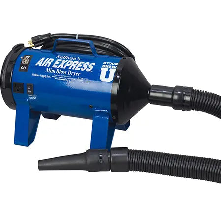 Mini Air Express Blauw