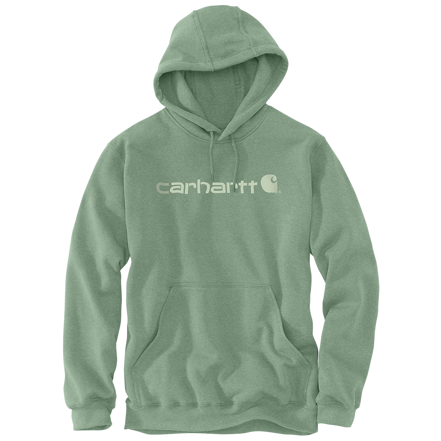 Carhartt Signature Logo 100074 - GF6
