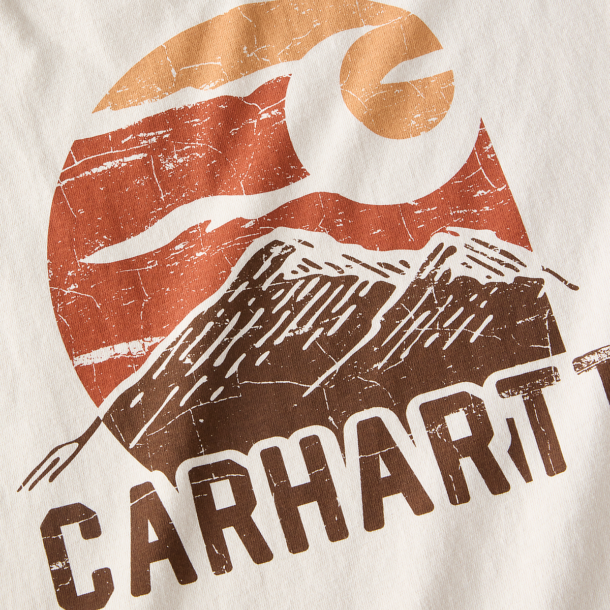 Carhartt T-Shirt mit Relaxed Fit und Grafik – 107260 GM2