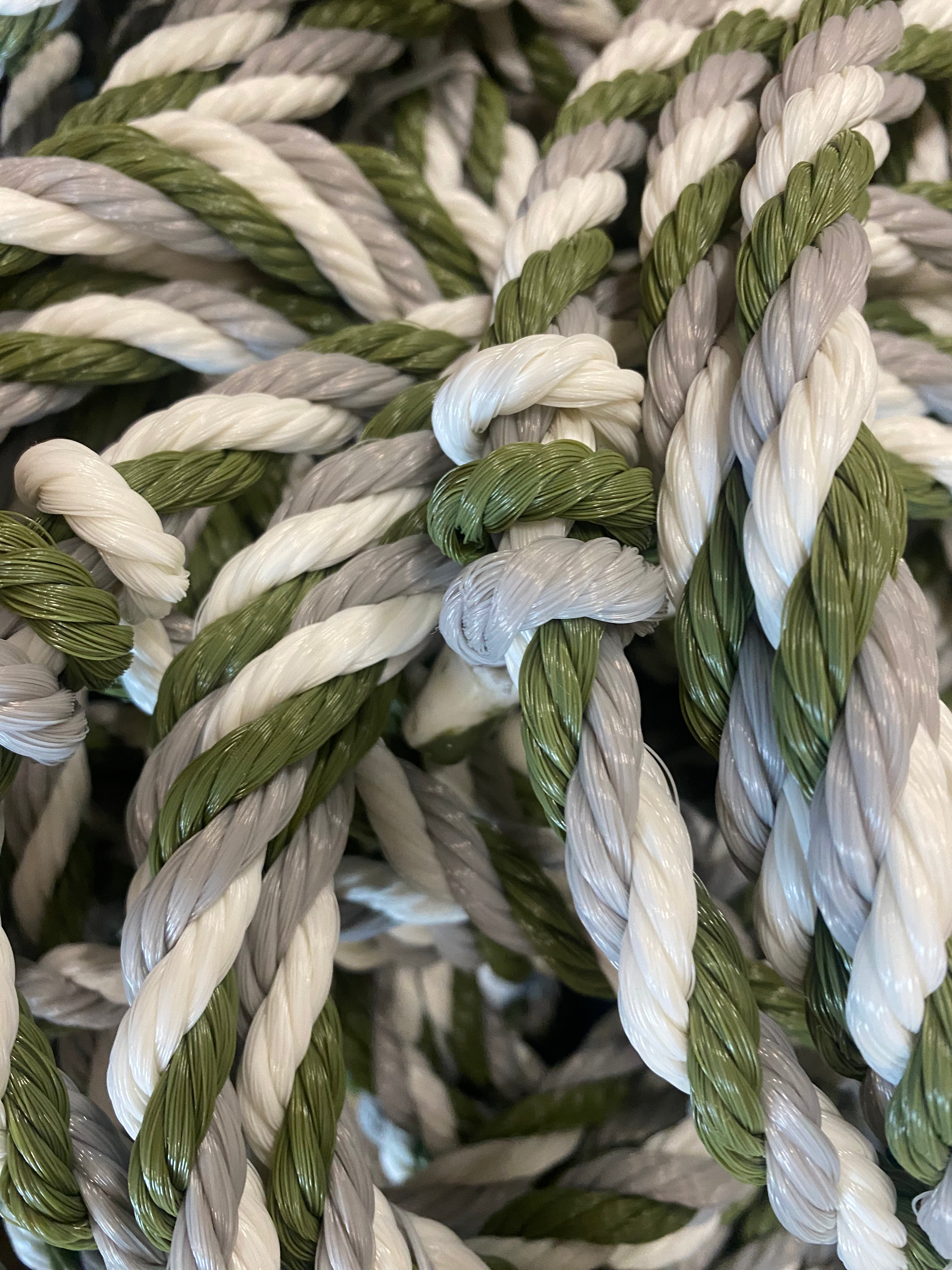 Training Halter - Limited edition