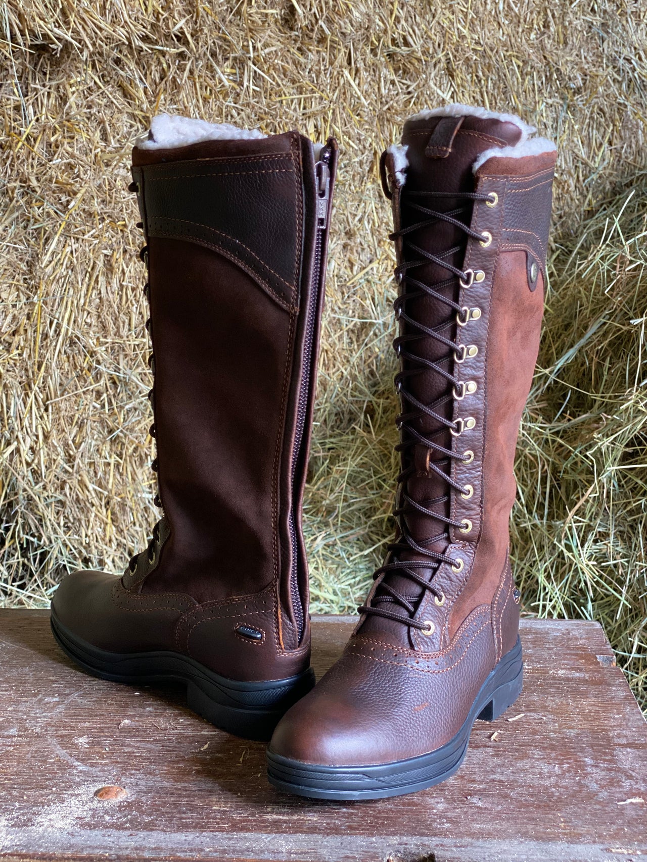 Ariat Women's Wythburn Tall Waterproof Boot