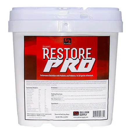 Restore Pro