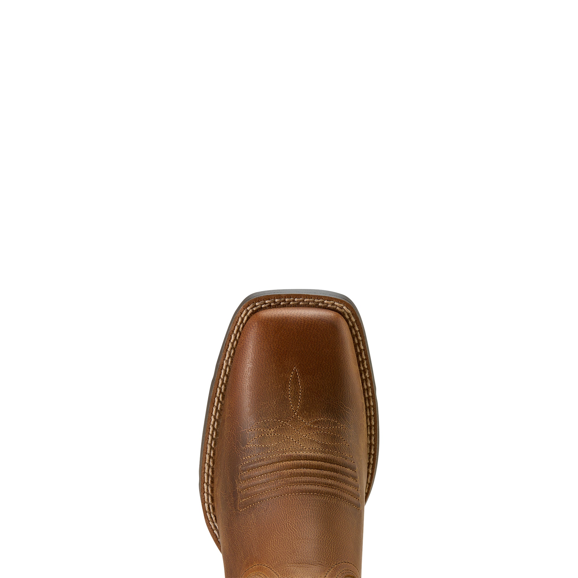 Ariat Women's Round up Holly  10074320