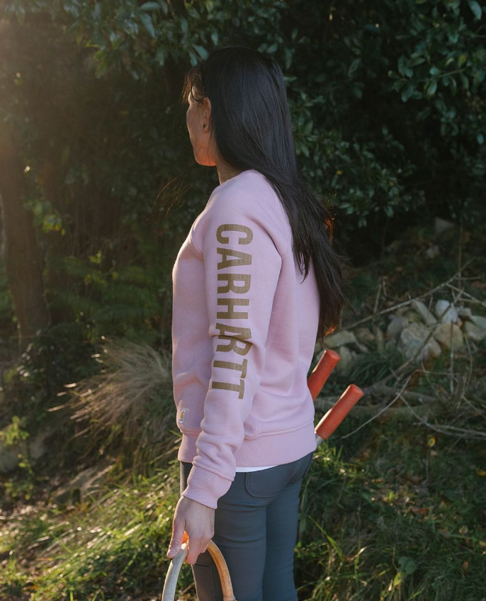 Carhartt Women's Clarksburg Crewneck Sweatshirt - V48 104410