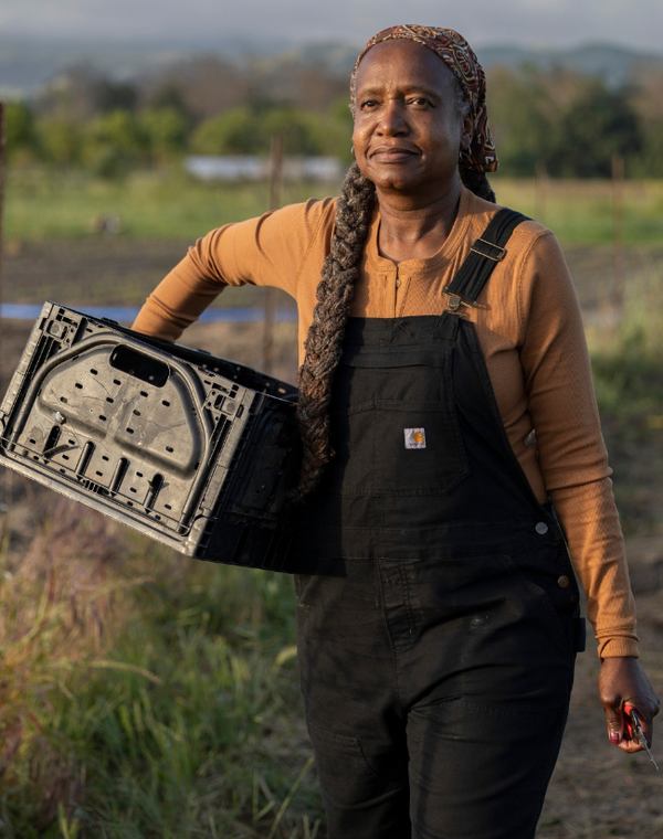 Schermopname_533_600x.png?v=