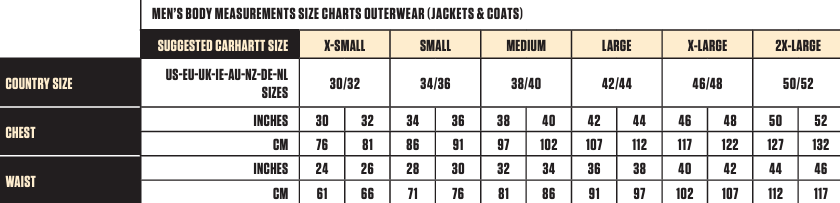 Carhartt Montana Loose Fit Insulated Vest - Men 105475