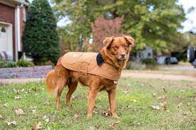 Carhartt Dog Chore Coat Carhartt Brown