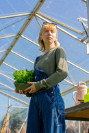 Carhartt Women's French Terry Sweatshirt - 106179 DOV