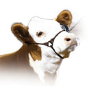 Incognito Show Halter Brown