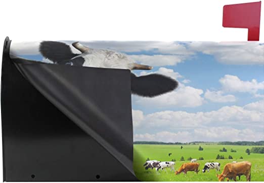 Mailbox cover Cows