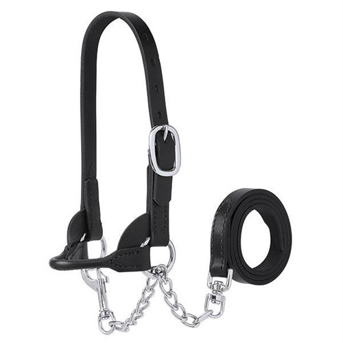 Show Halter Bucket Calf (Sheep) Black