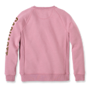 Carhartt Women's Clarksburg Crewneck Sweatshirt - V48 104410