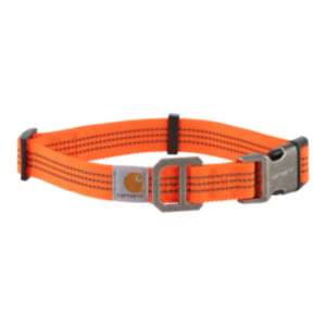 Carhartt Dog Collar - Hunter orange