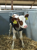 Calf Lifter - Complete Set