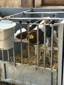 PHOTO-2020-06-27-09-28-42