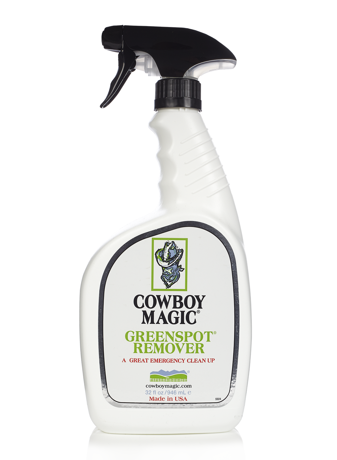 Green Spot Remover - Waterless Shampoo