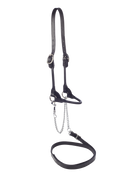 Showhalfter Schwarz, schmal, 2 Schnallen