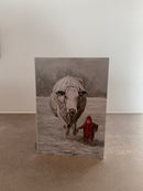 Ansichtkaarten set - Winter in de velden