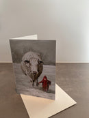 Ansichtkaarten set - Winter in de velden