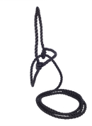 training halster cow zwart 1